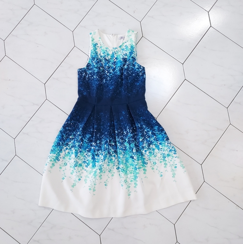 Luxe By Carmen Marc Valvo Blye Floral Dress Size 4